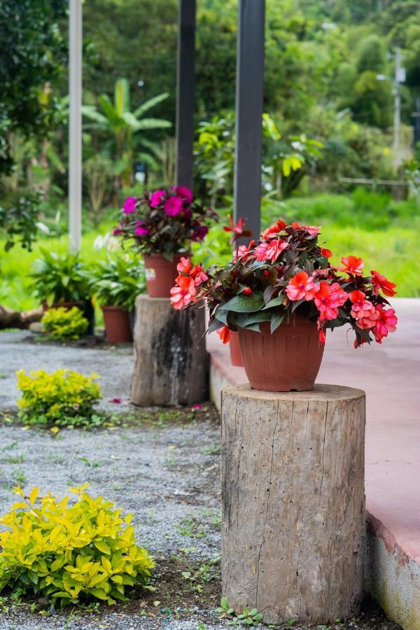Brisas Del Rio Hotel มินโด ภายนอก รูปภาพ